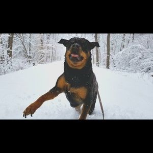 Meet your Posher, Sue